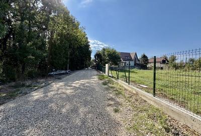 Spațiu comercial, în Ciolpani
