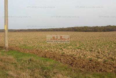 Teren Construcții intravilan de 34428 mp, în Ghermănești - 3