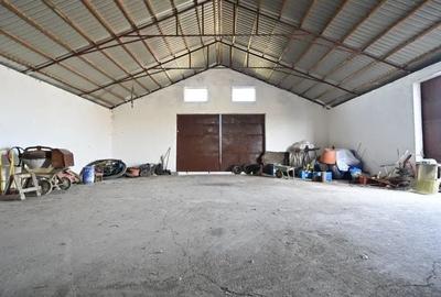 Casă cu 4 camere în Beregsău Mic - 14