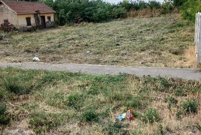 Casă cu 2 camere cu Teren 1600 Mp în Afumați