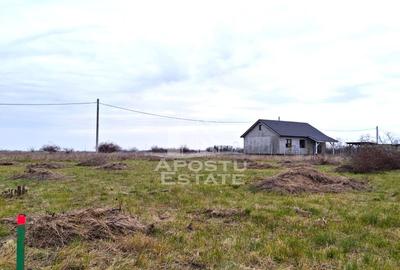 Teren Construcții intravilan de 500 mp, în Mândruloc - 2