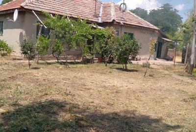 Casă cu 3 camere în Cotu Ciorii