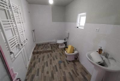 Casă cu Teren 1151 Mp în Oravița - 12