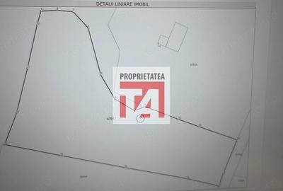 Teren de 1000 mp, în Băița