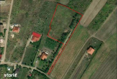 Teren de 5000 mp, în Paleu - 1