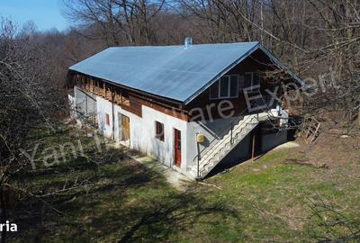 Casă cu 3 camere în Cerbu - 8