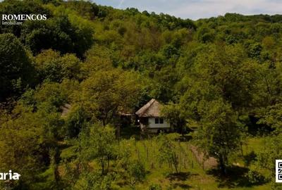 Teren de 1000 mp, în Stâlpeni - 9