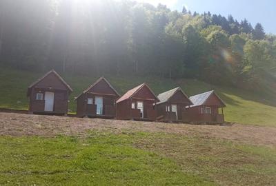 Teren extravilan de 50000 mp, în Central - 3