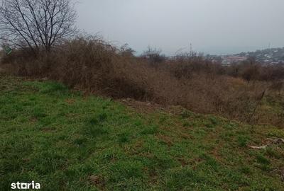 Teren de 11000 mp, în Tomești - 5