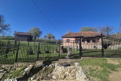 Casă cu 3 camere cu Teren 2586 Mp în Central - 5