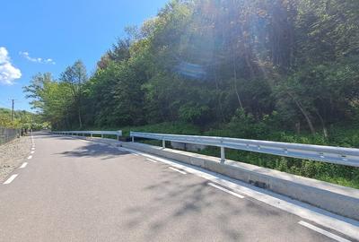 CASA SI LIVADA/ZONA DE DEALURI IMPADURITE/VALEA SCHEII/MANGA/VOINESTI/DAMBOVITA - 37