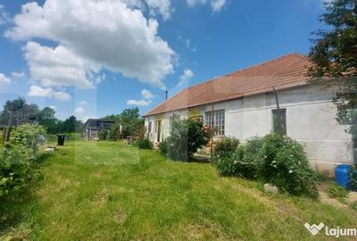Casă cu 3 camere cu Teren 2800 Mp în Aninoasa - 2