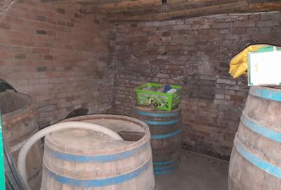 Casă cu 4 camere în Țuglui - 7