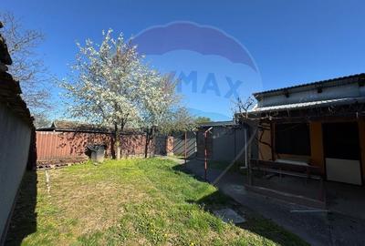 Casă cu 2 camere cu Teren 1172 Mp în Bodrogu Nou - 2