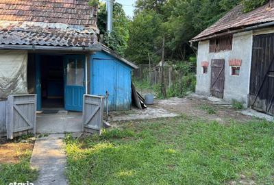 Casă cu 4 camere cu Teren 735 Mp în Dăbâca - 4