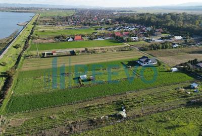 Teren 3.600 mp Lilieci - 1