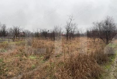 Casă cu Teren 1756 Mp în Sânpaul - 4