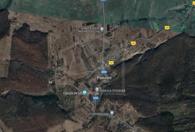 Teren extravilan, Padureni 20700 mp, alipit padure - 2