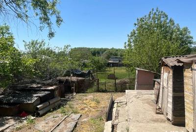 Casă cu 5 camere cu Teren 1300 Mp în Turcoaia - 2
