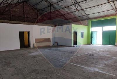 Hala 450 mp Sanicolaul - 5