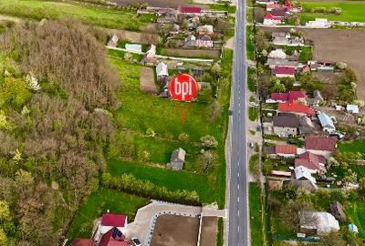 Teren Construcții intravilan de 10000 mp, în Forăști - 7