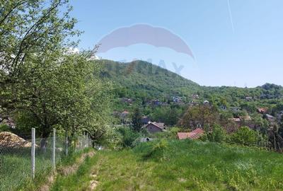 Valea Borcutului,Teren intravilan de vanzare, intre case! - 6