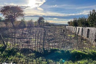 Teren de 1300 mp, în Central - 2