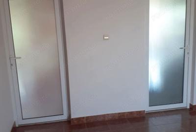 Casa P+E de vanzare in Ineu, jude?ul Arad - 6