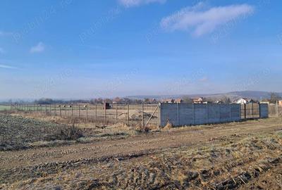 Teren de 8700 mp, în Livada (Iclod) - 6