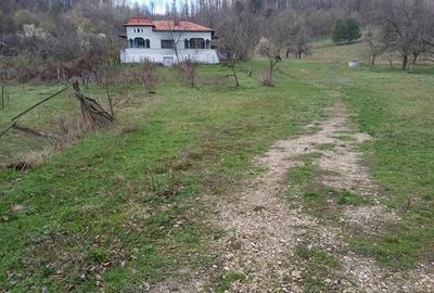 Casa din caramida cu 9000 mp teren - 5