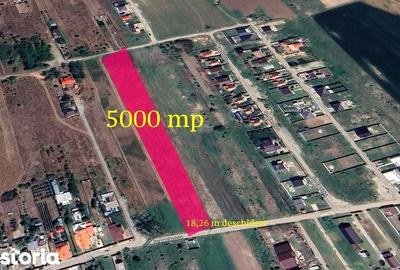 Teren de 5000 mp, în Coteana - 2