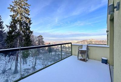 Apartament cu 3 camere decomandat, mobilat în Drumul Poienii - 15