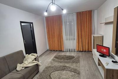 Apartament cu 2 camere în Banat - 2