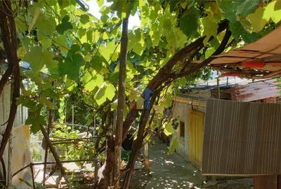 Casa 5 camere, teren 368 mp, deschidere 13 m, Brailita - 6