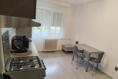 Apartament cu 2 camere nedecomandat în Nufărul