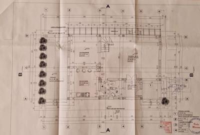 Casa moderna, frumos amenajata in zona Bogdanestilor - 30