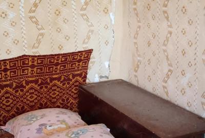 Casă cu 4 camere cu Teren 4200 Mp în Izvoru (Gogoșari) - 9