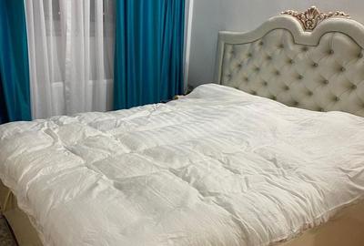Apartament cu 2 camere decomandat în Colentina - 4