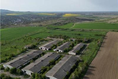 Ferma de in localitatea Bestepe Ferma de in localitatea Bestepe - 3