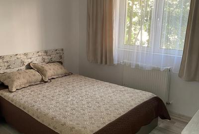 Apartament cu 2 camere decomandat, mobilat în Dumbrava 2 - 2
