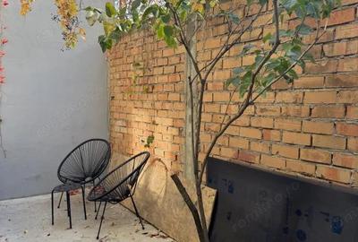 Garsoniera de pe strada Visinilor Garsoniera de pe strada Visinilor - 1