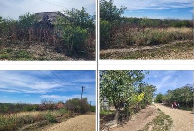 Casă cu 2 camere cu Teren 1691 Mp în Guruieni - 3
