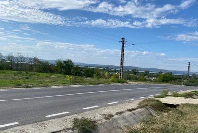 Teren de 7000 mp, în Drăgoești - 1