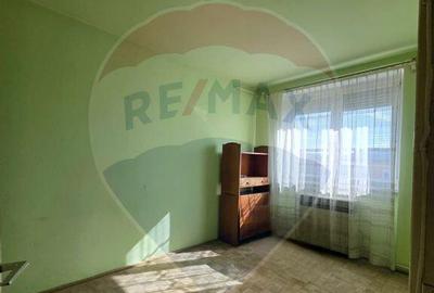 Apartament doua camere Gura Campului Medias - 8