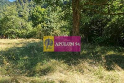 Teren Jude?ul Valcea - Brezoi, Valea lui Stan - 13