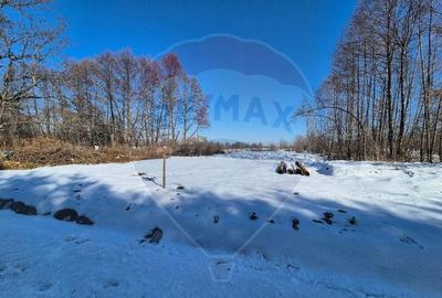 Comision 0 %/ Teren extravilan 3197 mp pitoresc/ Fagaras - 9