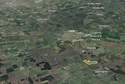 Teren agricol extravilan de 424700 mp, în Macea - 4