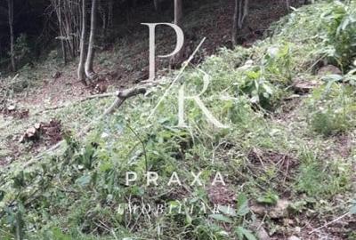 Teren Construcții extravilan de 10000 mp, în Măguri-Răcătău - 1