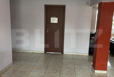 Spațiu comercial, de 382 mp, în Elisabetin - 5