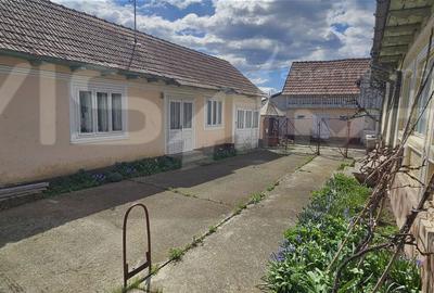 Casă cu 3 camere cu Teren 2796 Mp în Central - 8